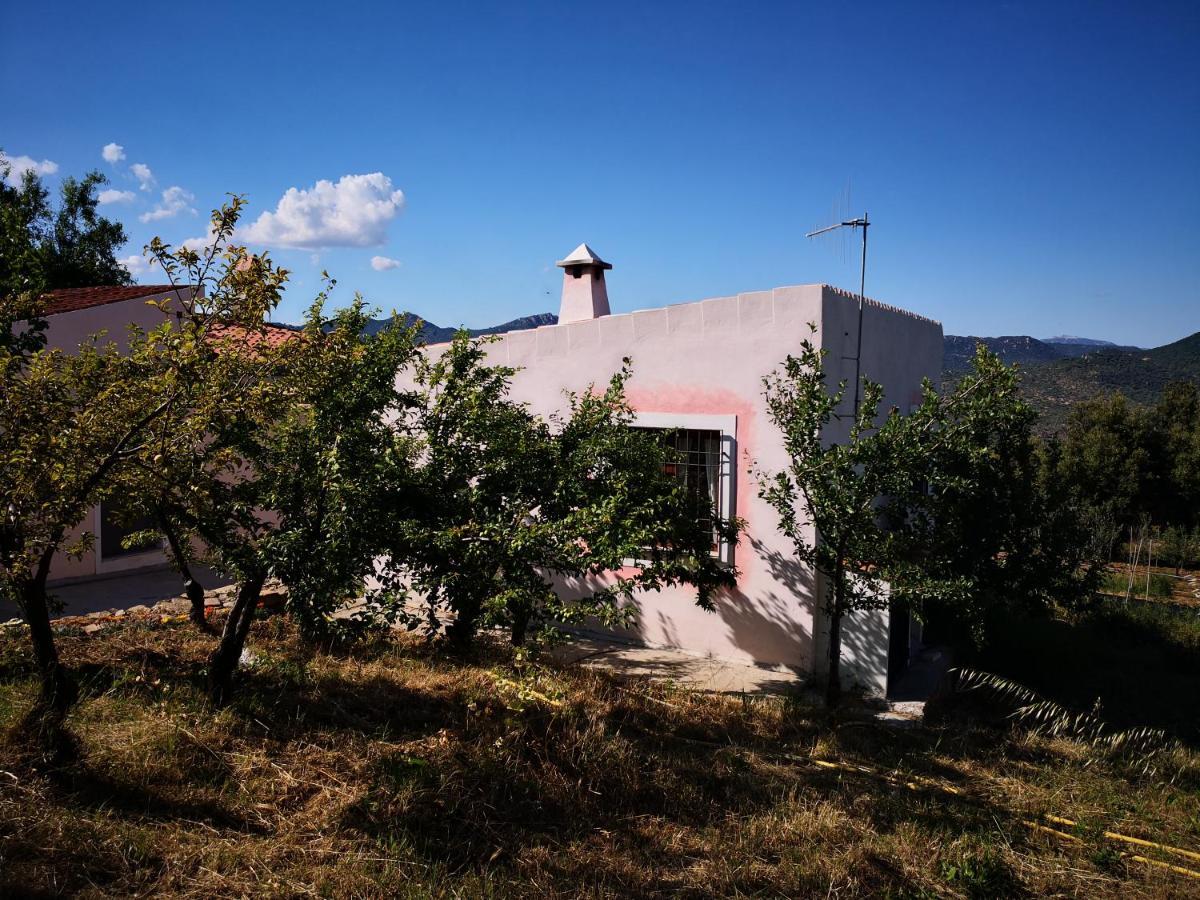 Villa Sa Pruna Oliena Zewnętrze zdjęcie